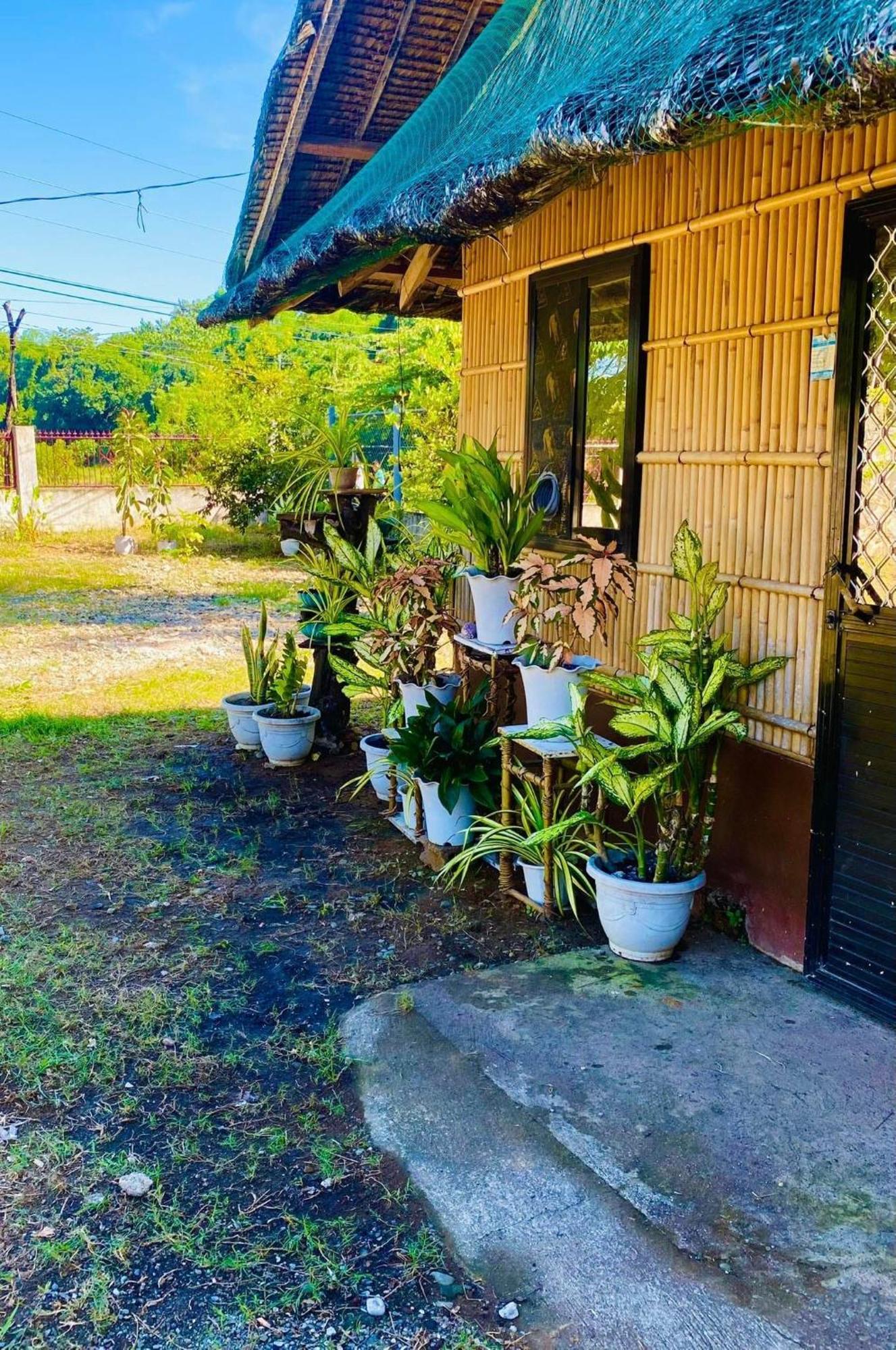 Casa De Flores Alaminos Kültér fotó